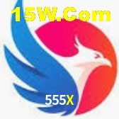 Promoções Sazonais 555X